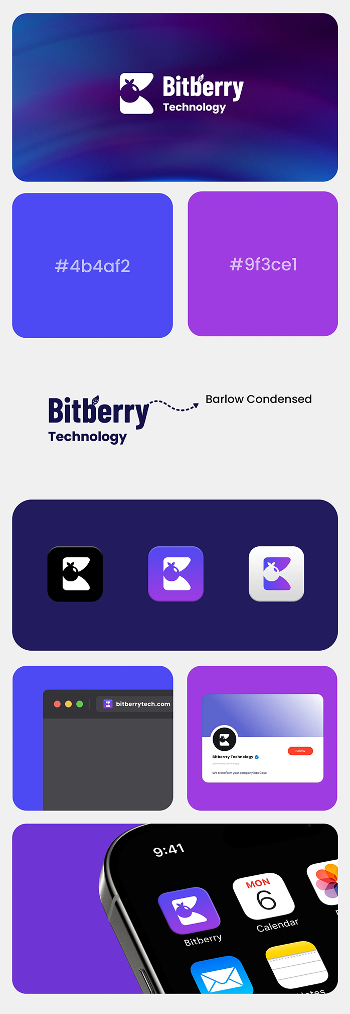 Bitberry Logo Design
